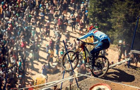 Rozhovor s Martinem Maesem