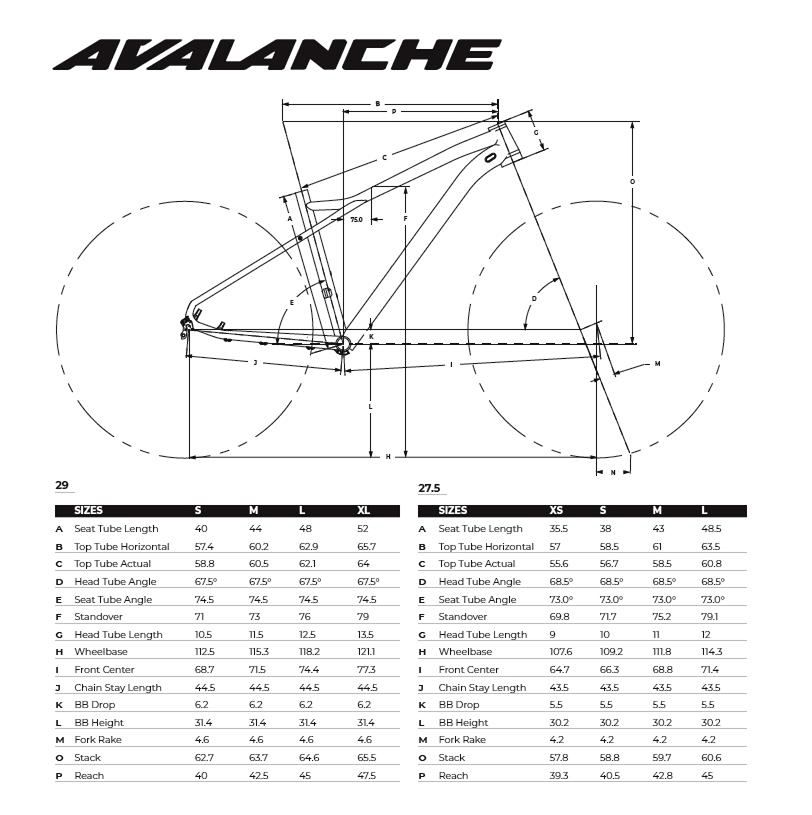 Avalanche Sport - 